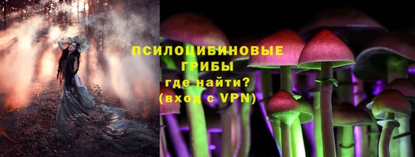 героин Алексин
