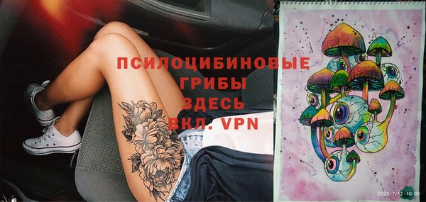 молекула духа Алексеевка